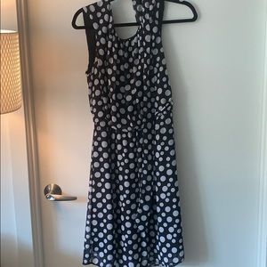14W Robbie Bee polka dotted dress